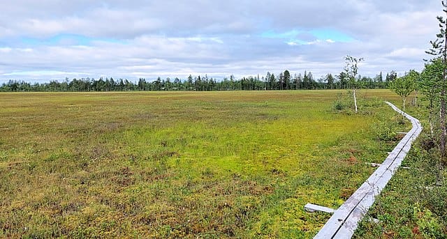 Metsähallitus: Sakatin kaivos heikentäisi merkittävästi Viiankiaavan luontoarvoja