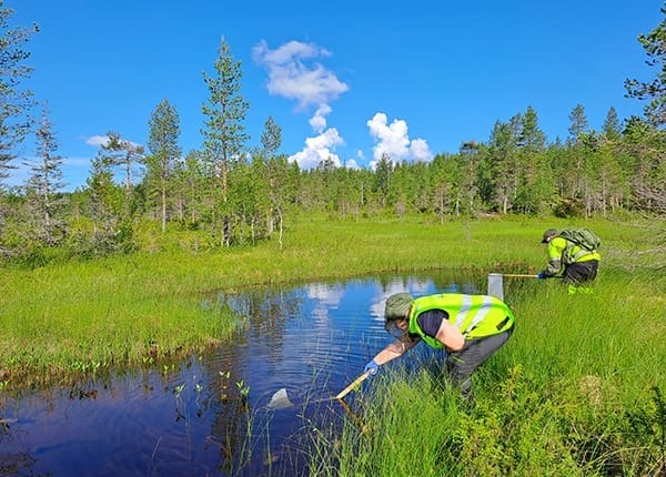 Kuusamon Kouvervaaran kairausputket suljetaan pysyvästi
