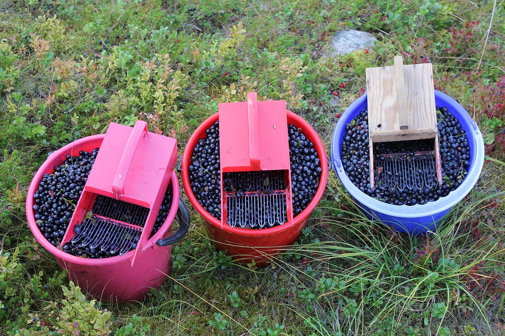 Keskuskauppakamari: Ulkomaisen työvoiman hyväksikäyttöön puututtava – vääristää kilpailua