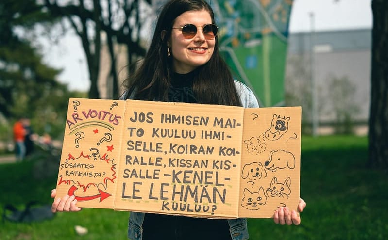 Kylttimielenosoitus haluttiin estää Viikin lehmien laitumellelaskussa
