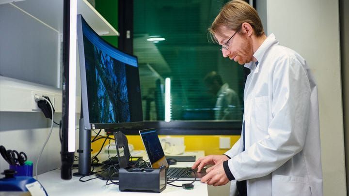 Tutkimus: varpuslinnut menettäneet ”nälkähormonin” post image