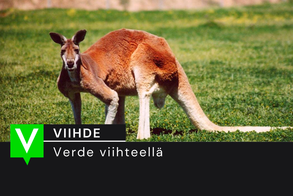 RKP:n uusi maskotti post image