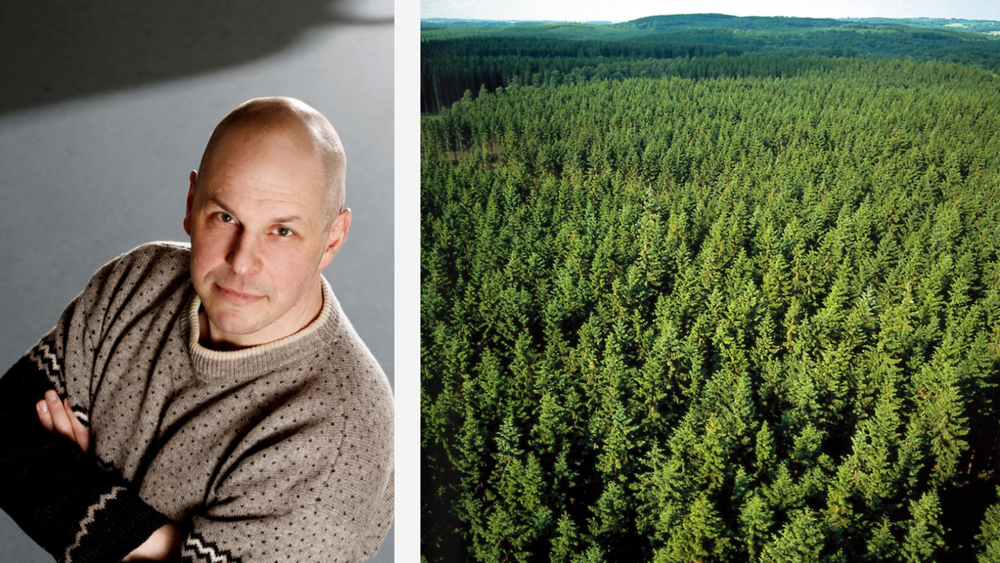 Metsien Suomi -kampanjan väitteet eivät kestä tarkastelua post image