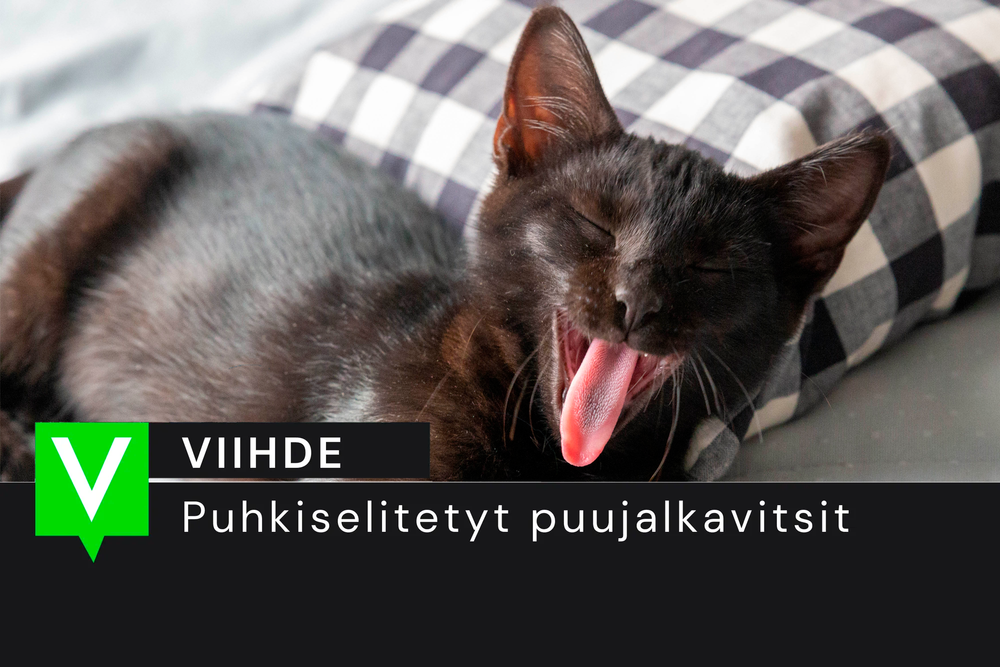 Puhkiselitetyt puujalkavitsit: Vantaan Hollywood post image