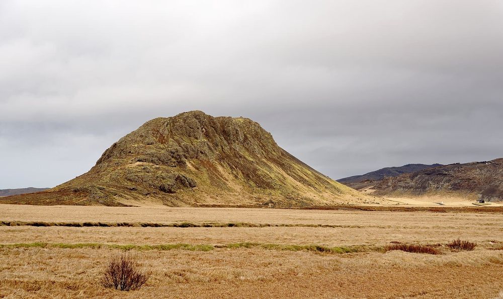 Ilmastonmuutos tuo hyttysiä jopa Islantiin post image