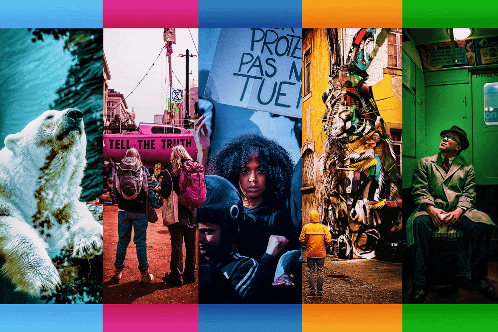 Journalismia tarvitaan vihreissäkin – kolme syytä jatkaa Verde-lehteä post image