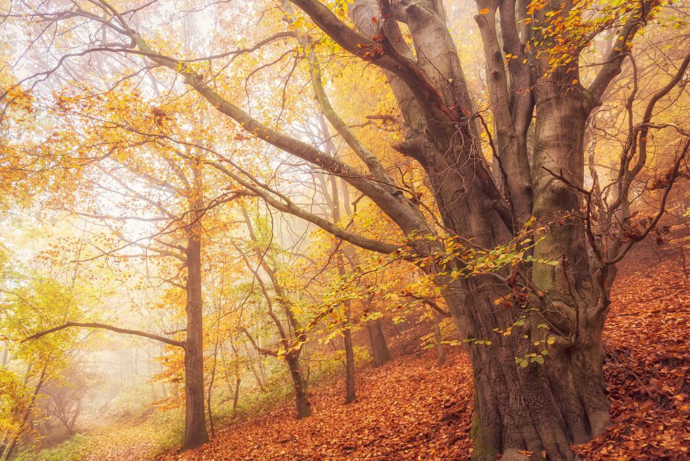 Vanheneminen on itsensä tuntemista ja ymmärtämistä post image