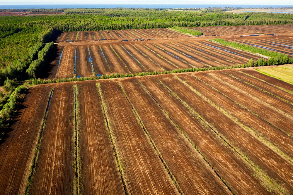 Ovatko maankäytön ja maatalouden päästöt yhä tabu? post image