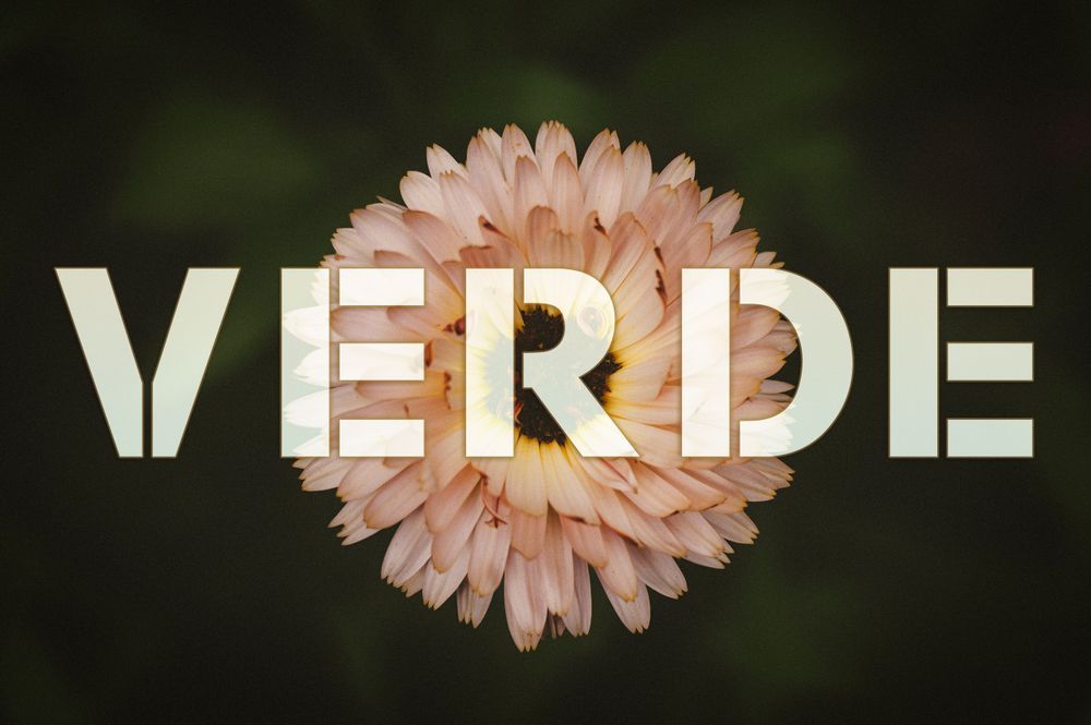 Toivotamme lukijoille hyvää kesää! Verde kesätauolla 8.8. saakka post image