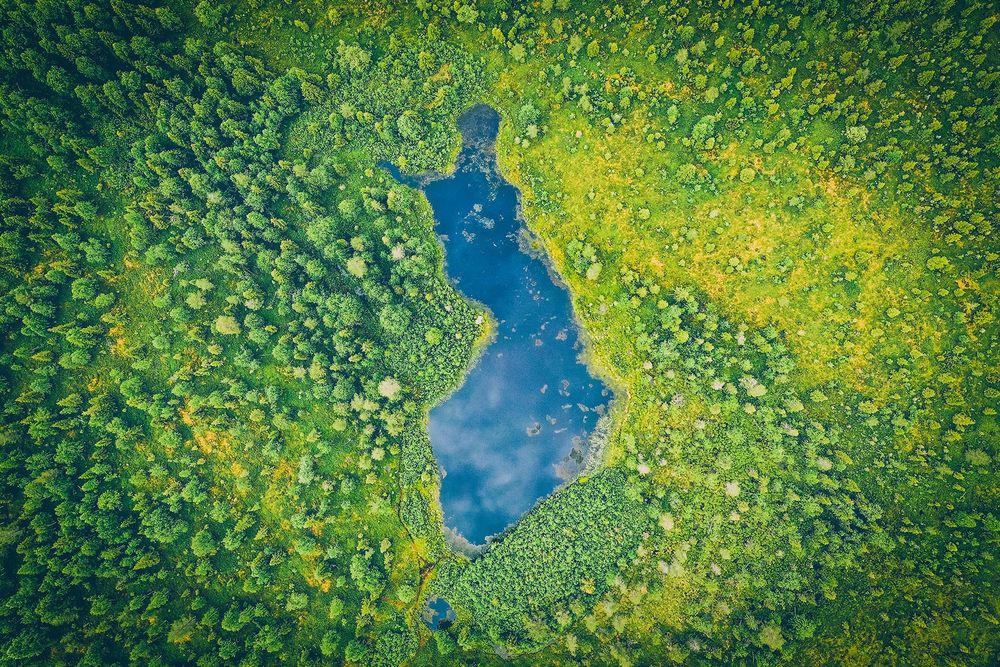 Koko Suomen Vihreät post image