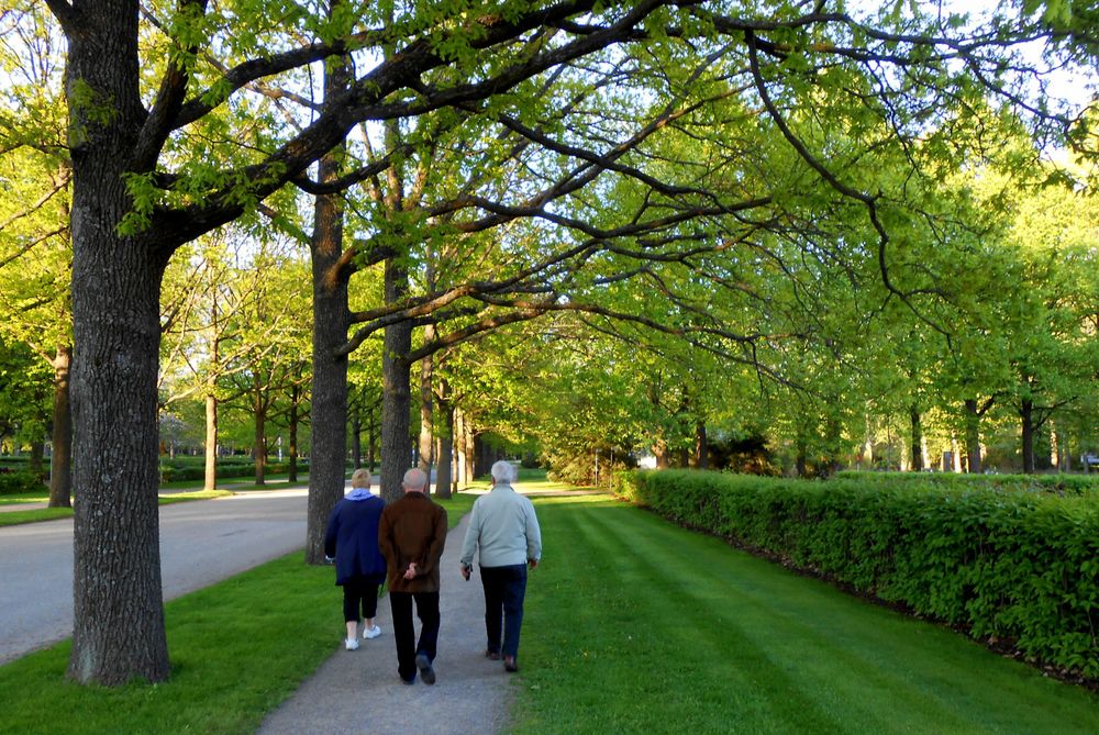 Vihreät aluevaaleihin vastustamaan museointia post image