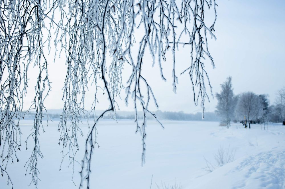 Luontoretki 2100 pakottaa ajattelemaan tulevaisuuttamme post image