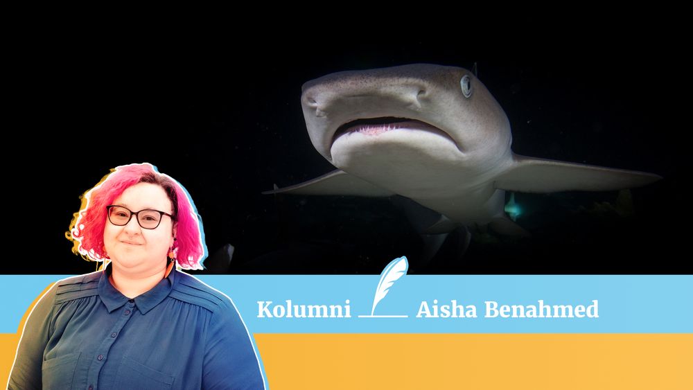 Lomareissun keitto on painoaan raskaampi post image