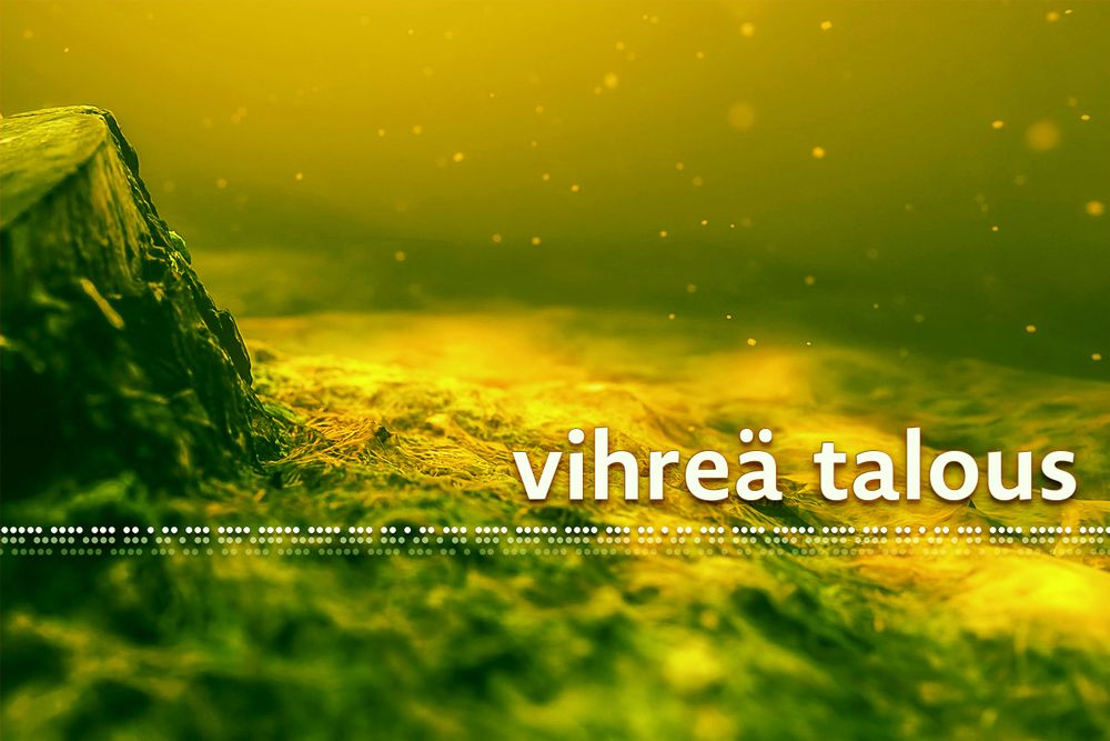 Tulevaisuus vihertää – mitä on vihreä talous? post image