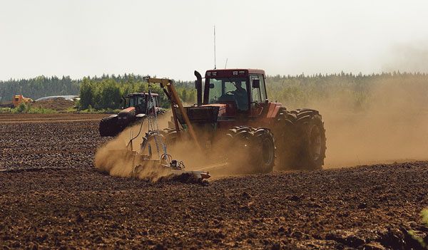 Suo, kuokka ja Ukrainan sota post image