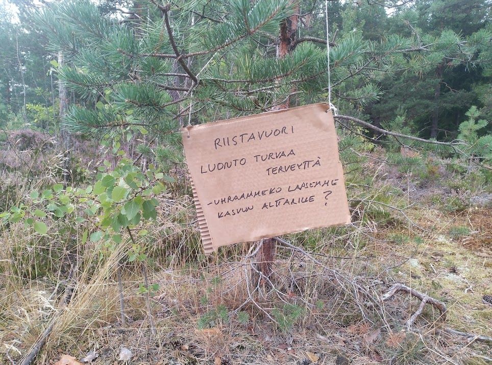 Ympäristöliike Helsinki arvostelee rakentamistavoitteita ja haluaa puolueeksi post image