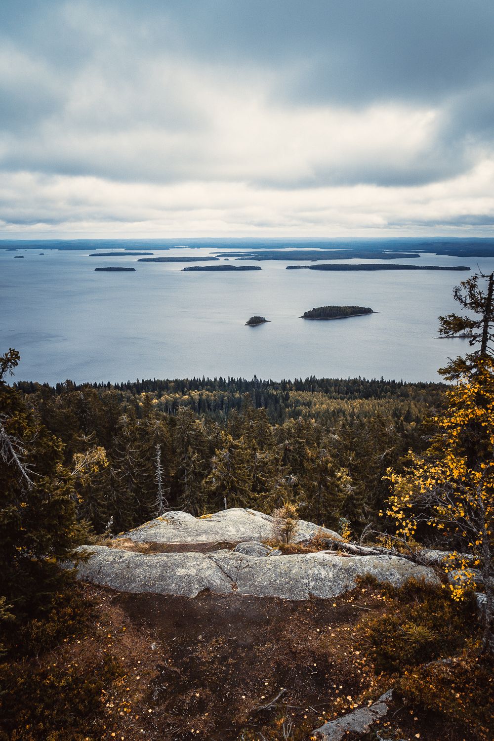 Kaivoslain uudistus ei riittävästi turvaa luonnon monimuotoisuutta eikä takaa riittäviä korvauksia kaivosvarauksista post image