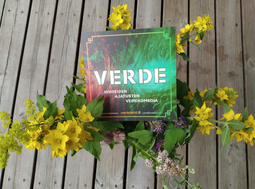 Kesäkuulumisia post image