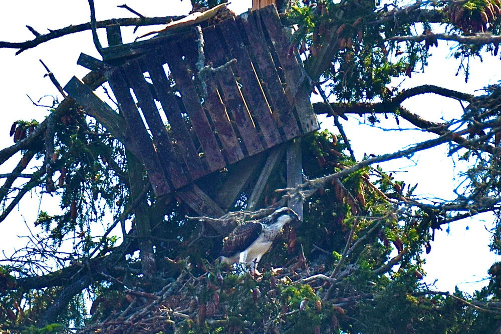 Luontokato ei tullut yllätyksenä, nyt aikaa ei ole liikaa post image