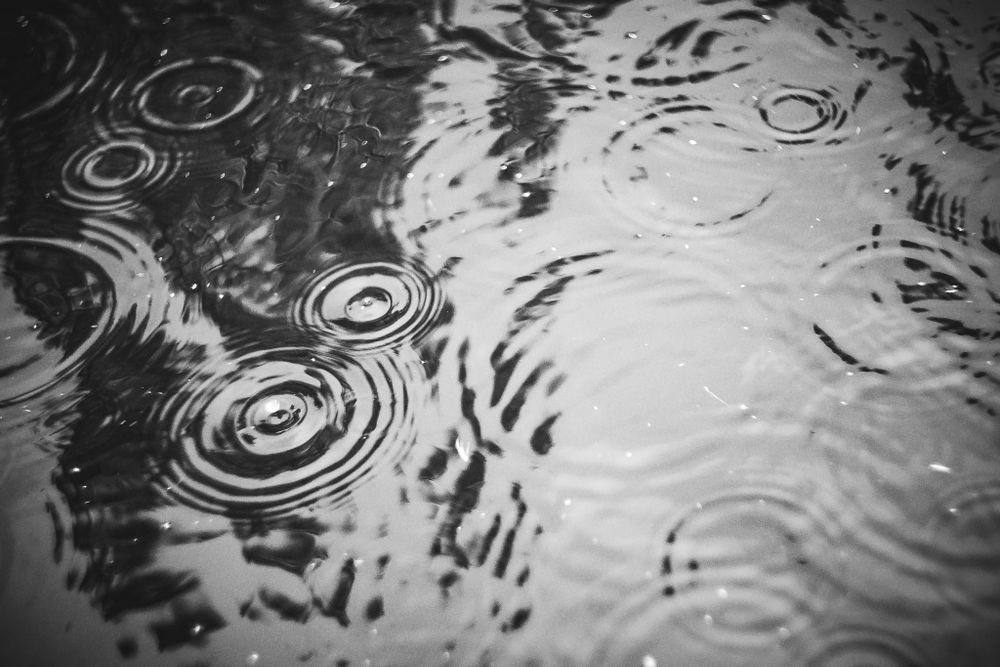 Tieteen ja teknologian vihreät: Budjettiesitys on uhka Suomen ilmastotyölle post image