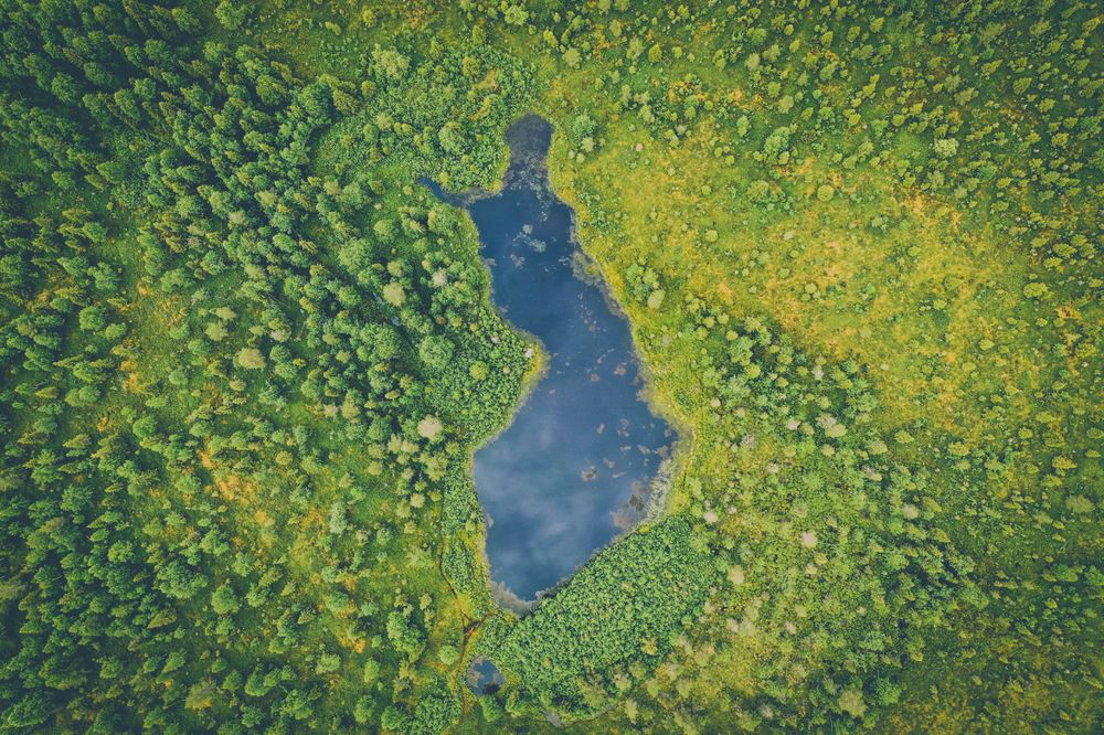 Nieluja ja teknistä hiilensidontaa - Ovatko 2035 ilmastotavoitteet karkaamassa Orpon hallituksen käsistä? post image