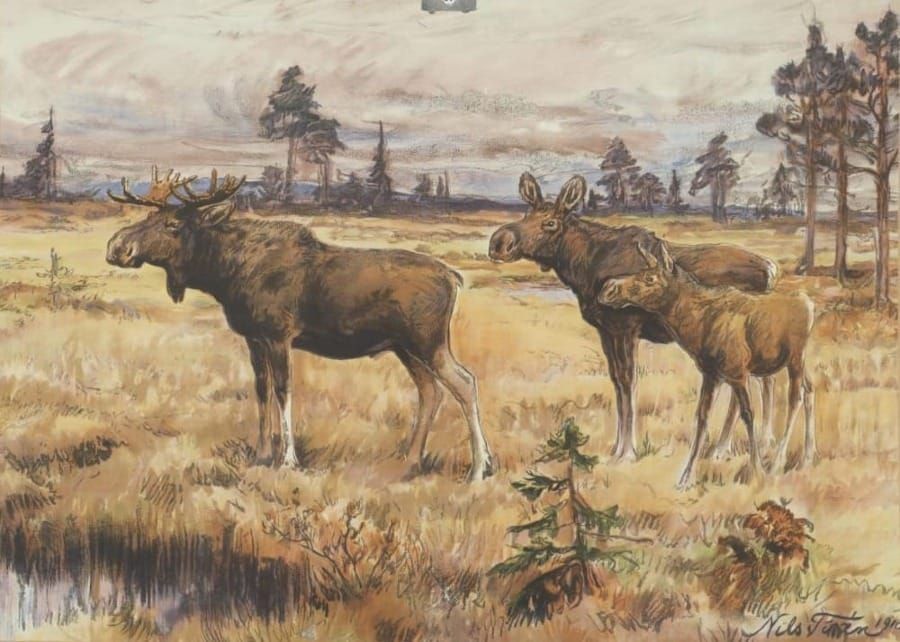 Historiallinen aineisto auttaa luonnon monimuotoisuuden ymmärtämisessä post image