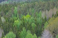 Tutkimus: luontohaittojen hyvitysten koko vaihtelee jopa tuhatkertaisesti post image