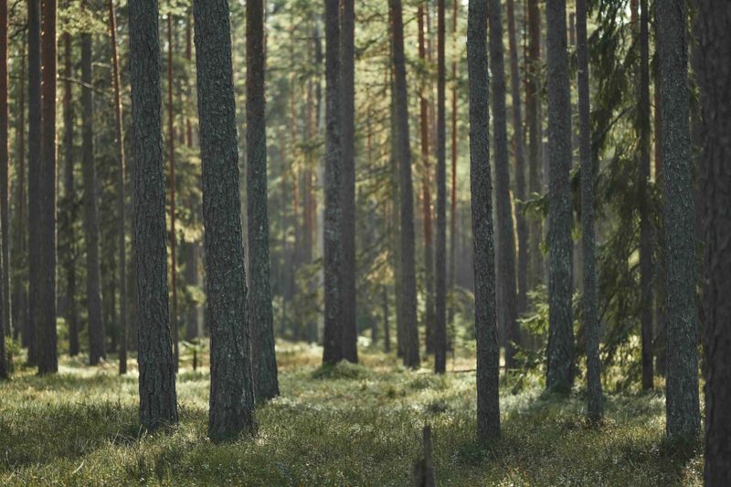 Mitä jos lääkärikäyntisi päättyisi luontolähetteeseen? post image