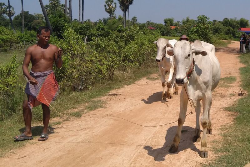 Aalto-yliopiston tutkimus: Ilmastonmuutos uhkaa ruuantuotantoa erityisesti kehittyvissä maissa post image