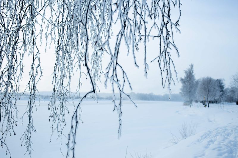 Luontoretki 2100 pakottaa ajattelemaan tulevaisuuttamme post image