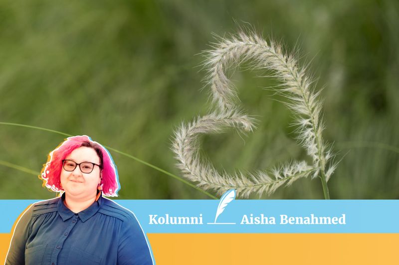 Rakkaus on muutakin kuin hanipuputtelua ja sydänkonvehteja post image