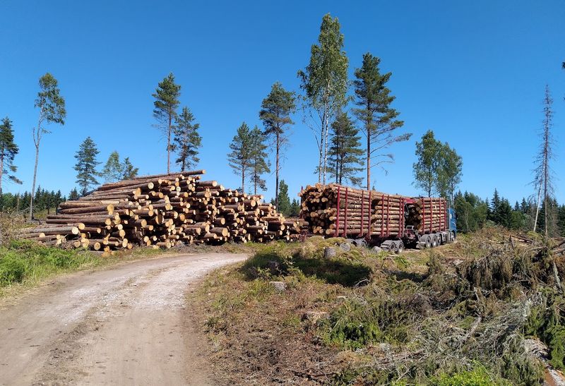 Petteri Taalas jatkaa rauhoittelua ja vetoaa Nasan itsensä kumoamiin tutkimustuloksiin post image