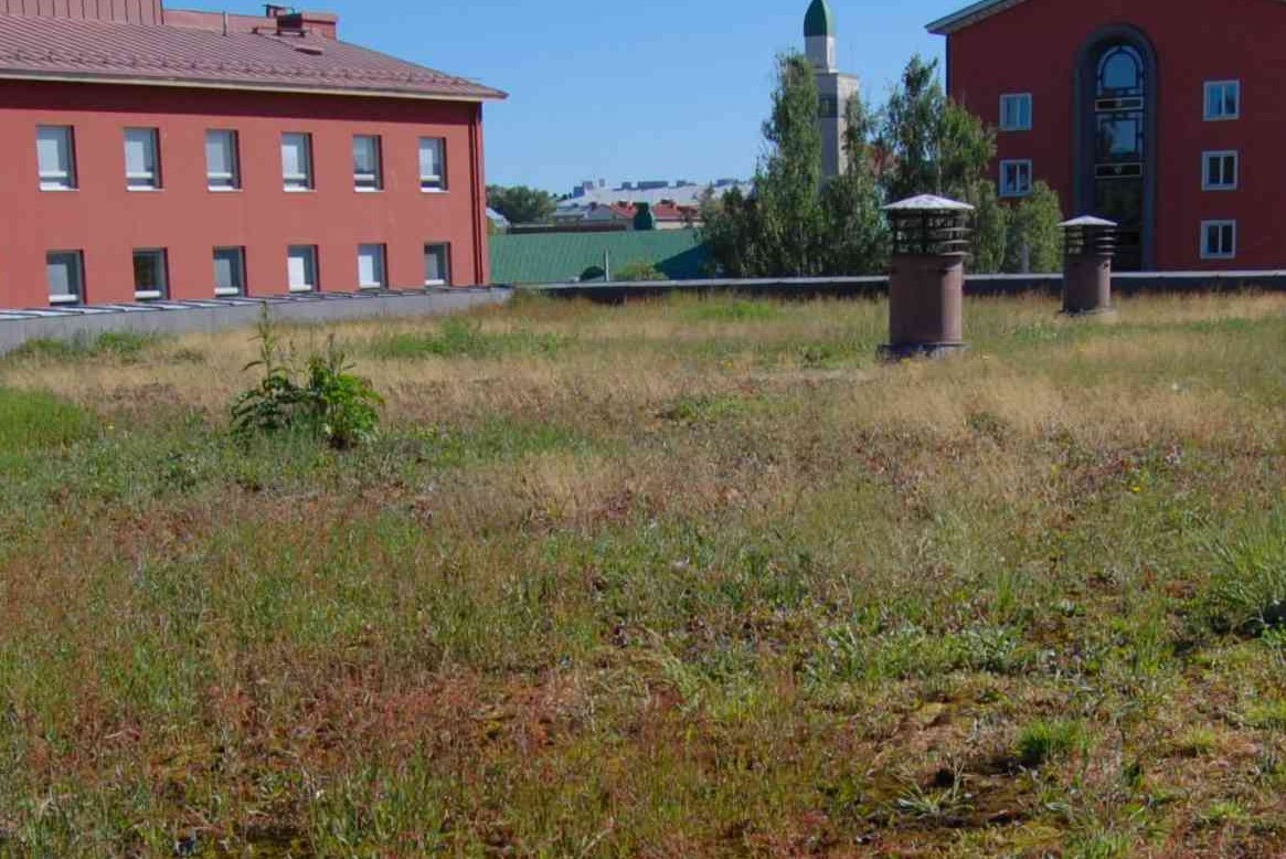 Uusia ideoita luontokadon torjuntaan kaupungeissa