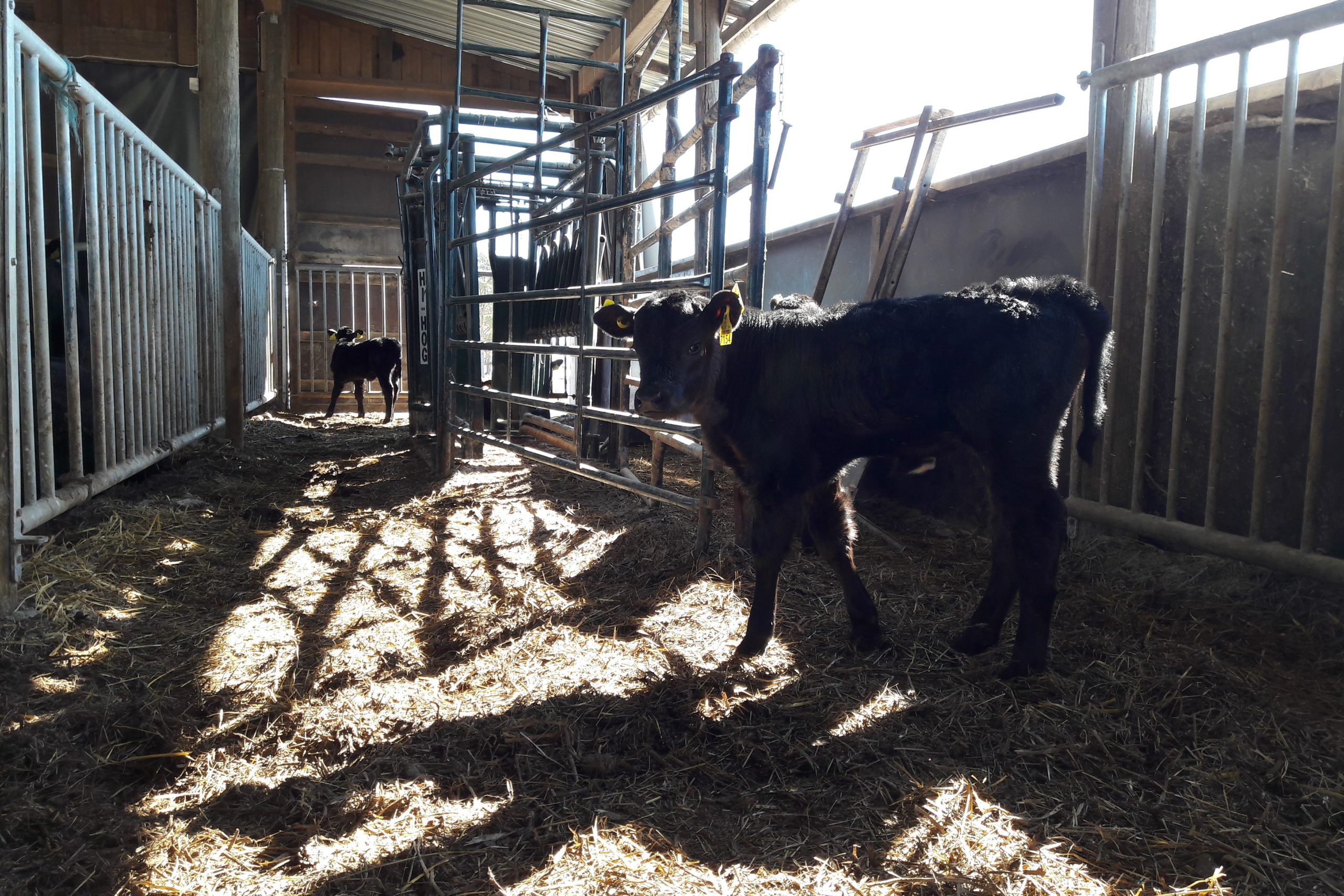 Kasvu- ja kuiviketurpeelle on vaikea löytää vaihtoehtoja nopeasti