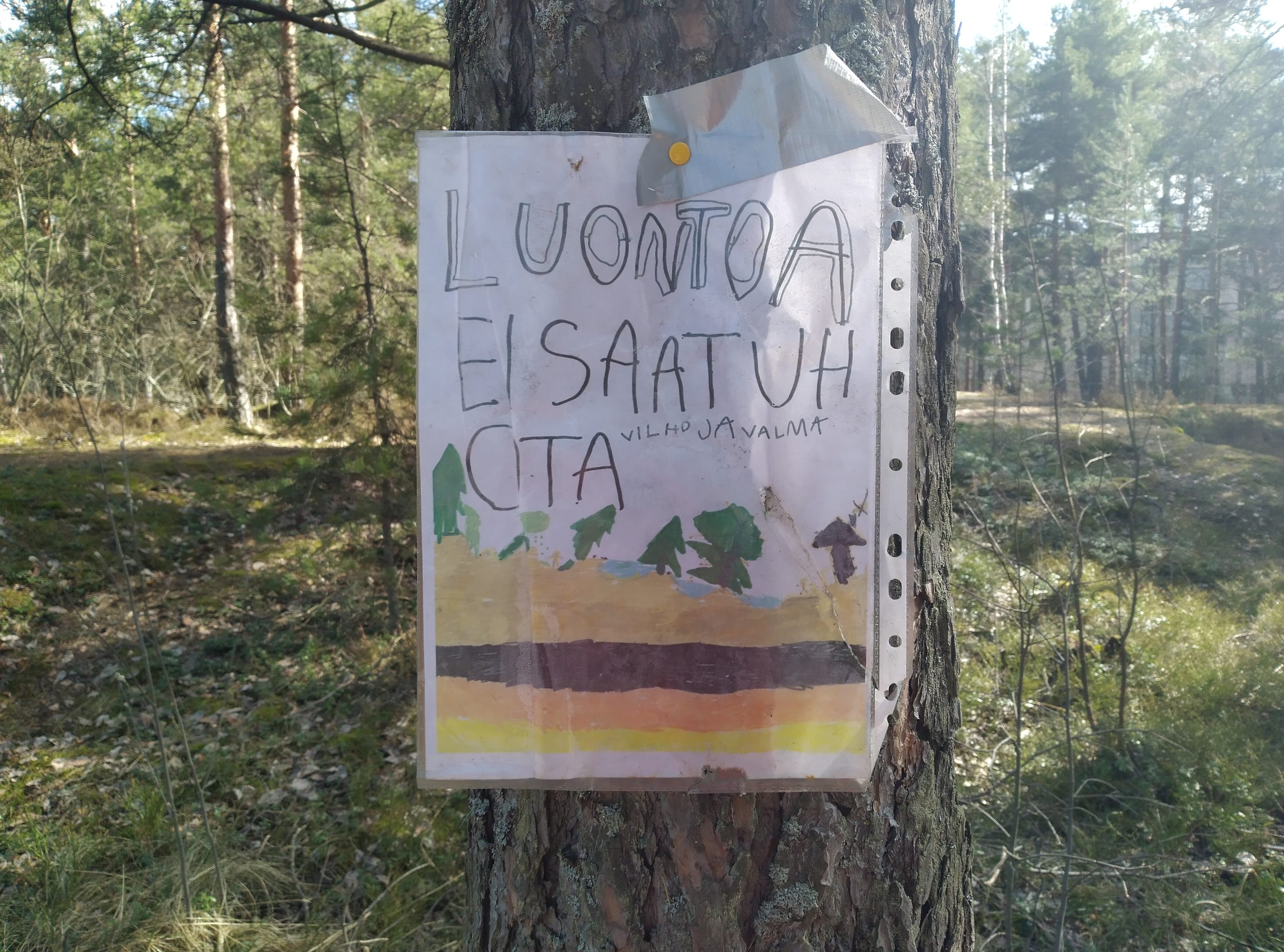 Lähiluonnon puolustus puhuttaa jälleen – onko vihreiden ympyrä sulkeutumassa?