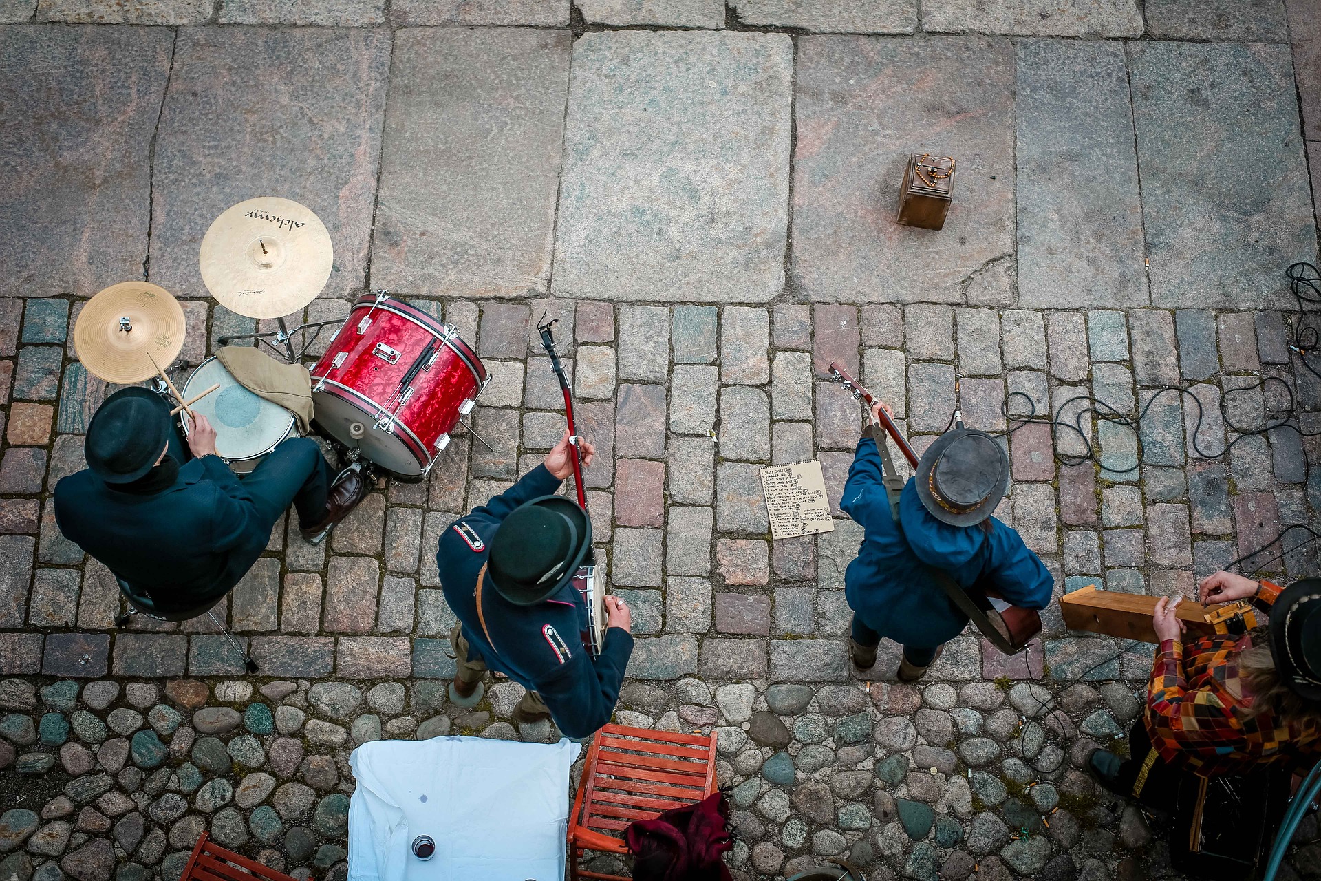 Kaupungit, tuulipölyttäjät ja hyönteispölyttäjät