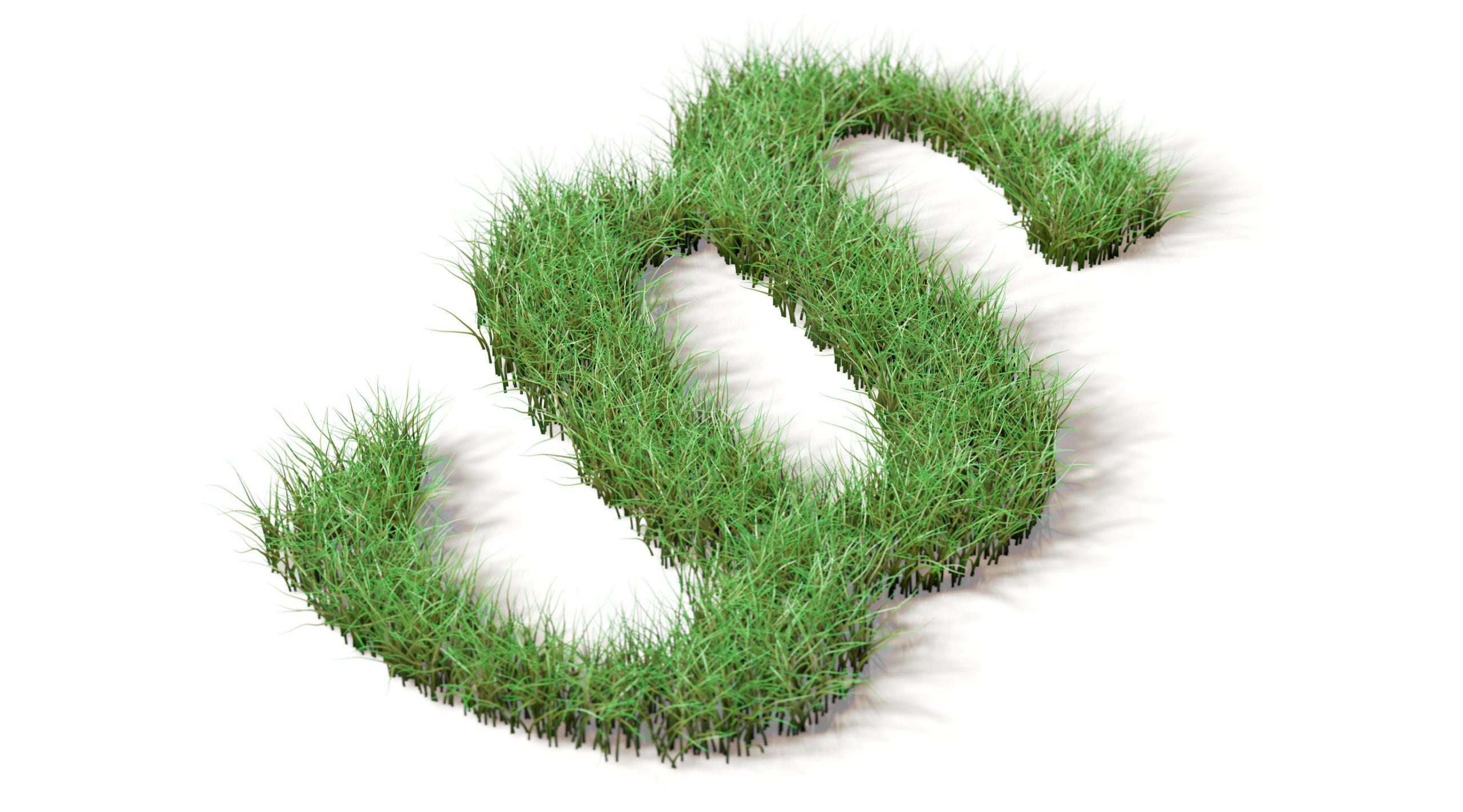 Edistyksellinen ilmastolakiesitys voi jäädä vaalikampanjoinnin jalkoihin