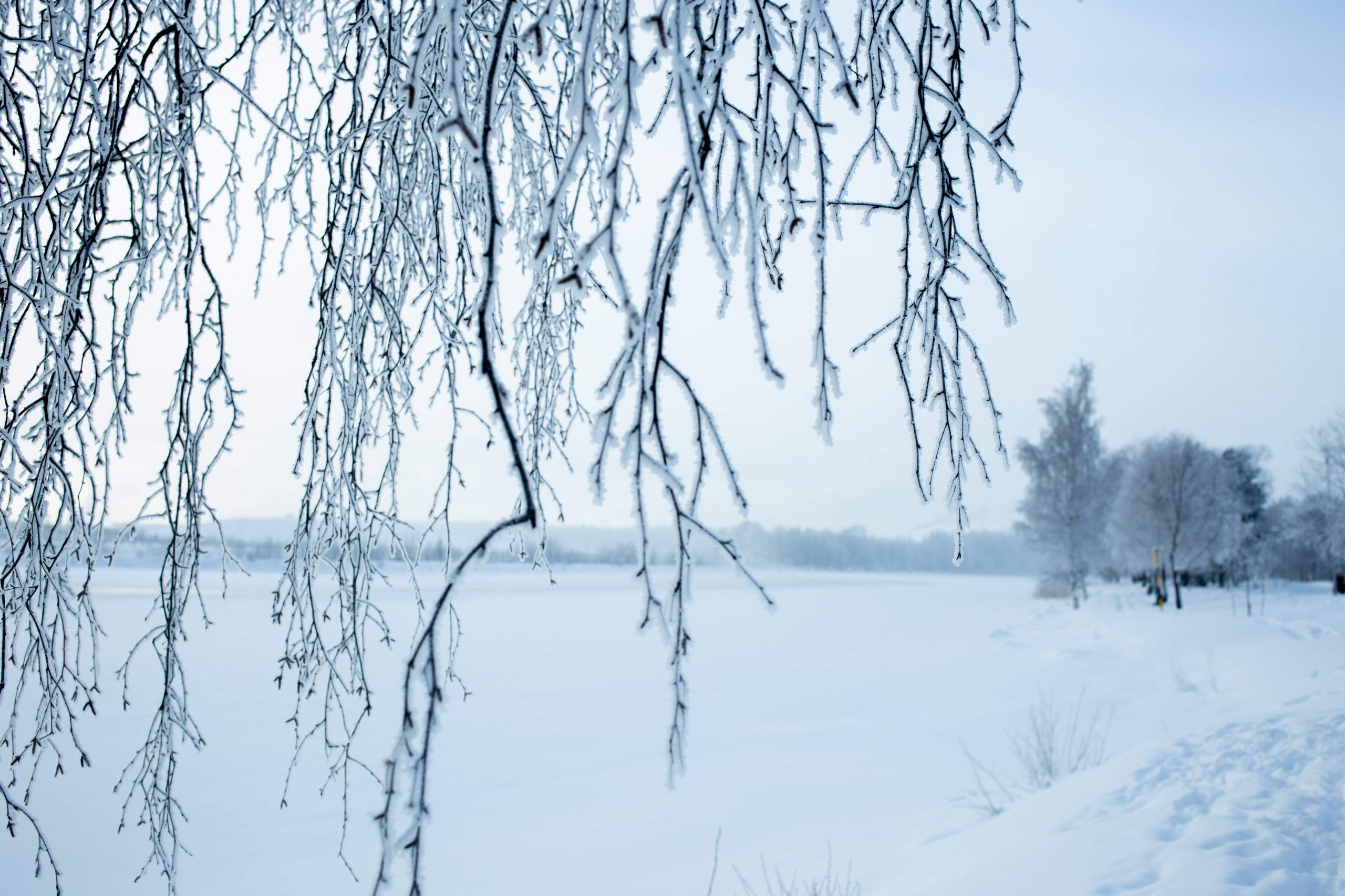 Luontoretki 2100 pakottaa ajattelemaan tulevaisuuttamme