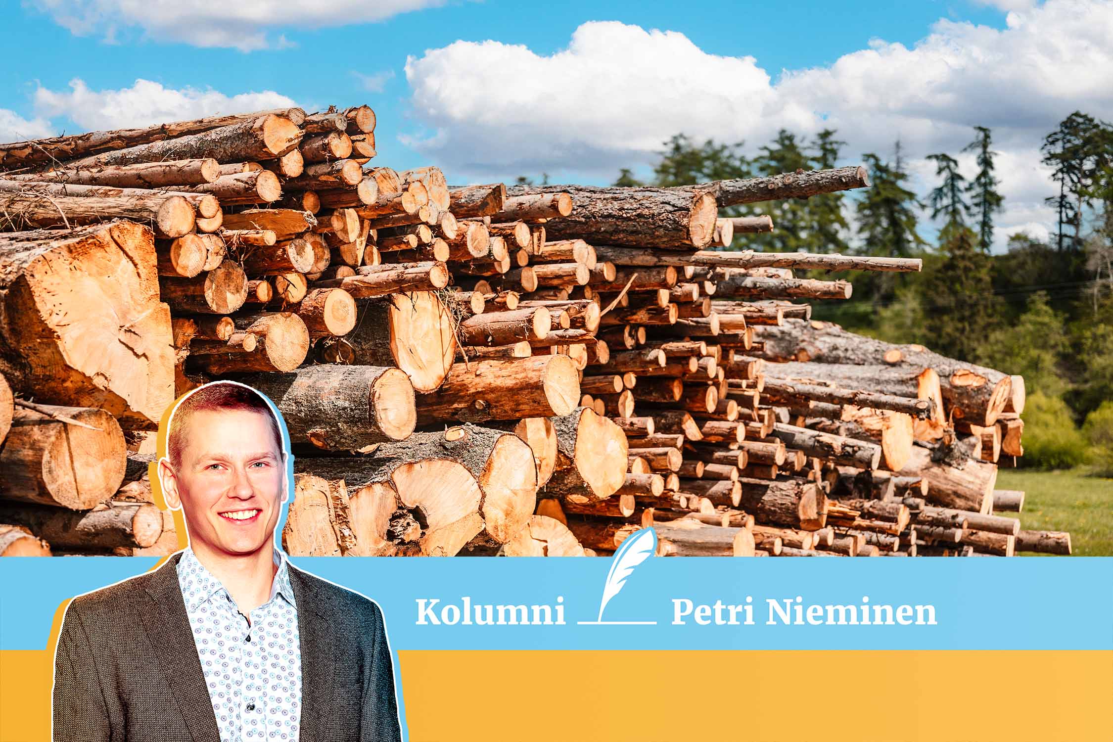 Metsien hakkuista käydään kiivasta informaatiosotaa, eikä ilmastolaskun maksajasta ole tietoa