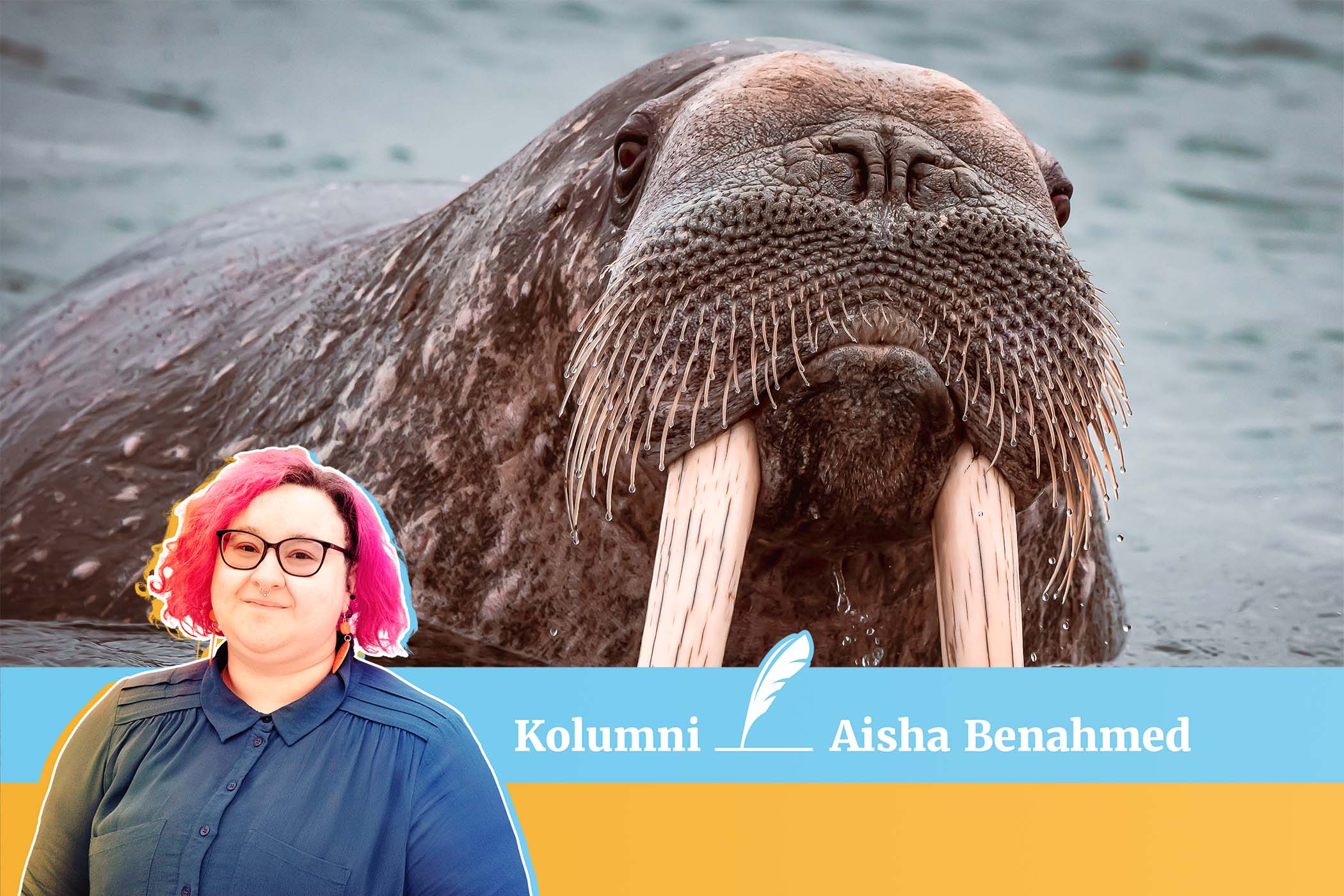 Meripolitiikka ei ole seksikkyyden multihuipentuma, mutta sitäkin tärkeämpi osa luonnonsuojelua