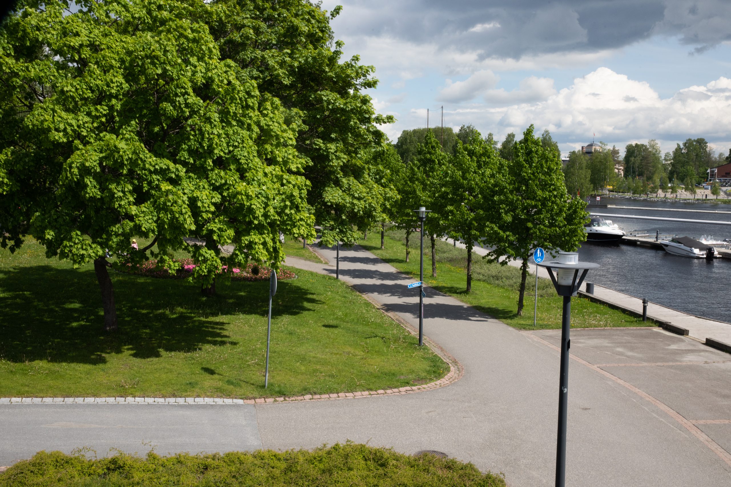 Lisää puita Helsinkiin