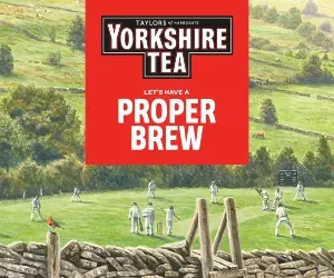 Yorkshire Tea box with cricket match in a field, a robin on the wall and a wooden ladder