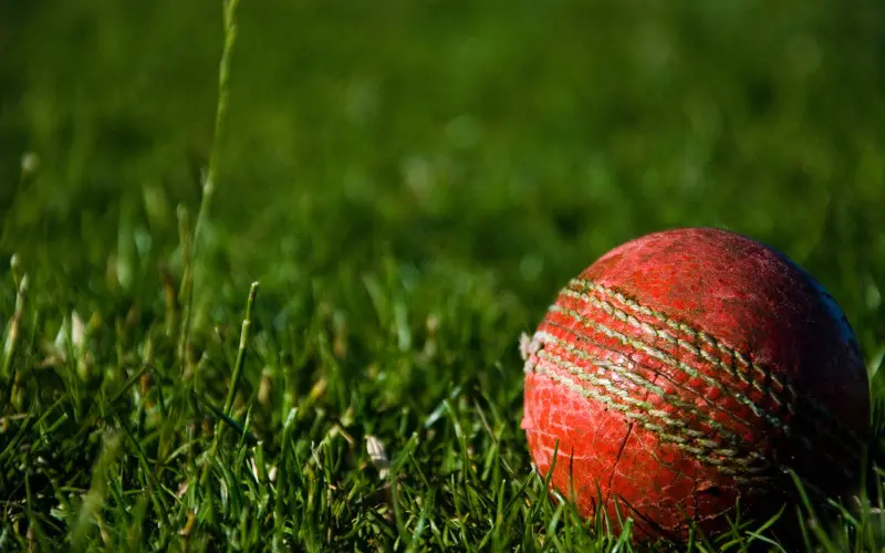 cricket ball - club cricket