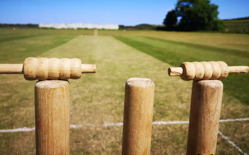 Cricket stumps