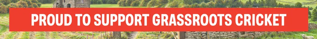 Yorkshire tea banner