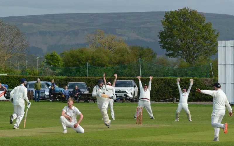 NYSD Cricket: Great Ayton edge past Thornaby