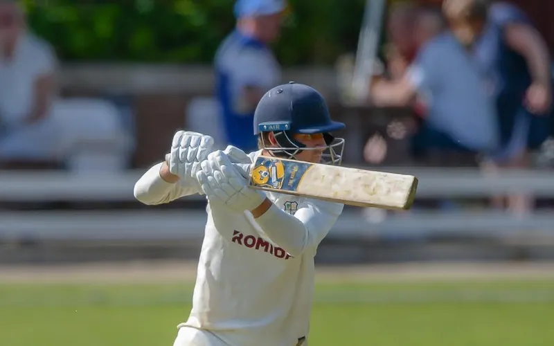 Bear Cricket: Bats & Equipment [2026 Review]