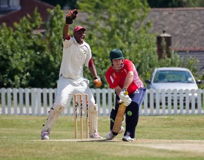 cricket appeal