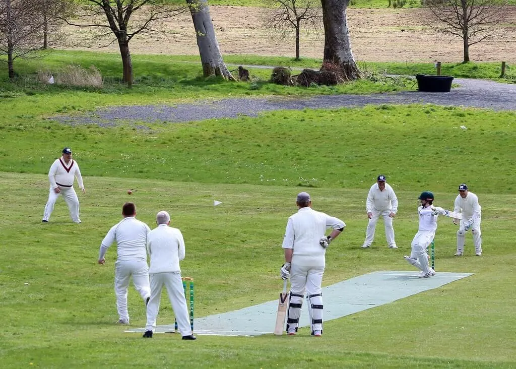 Does your cricket club need more pitches this year?