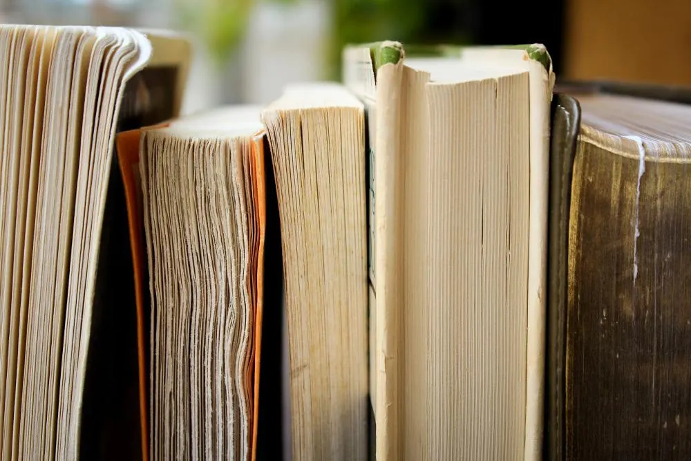 cricket book